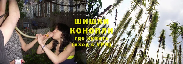 круглые Новозыбков