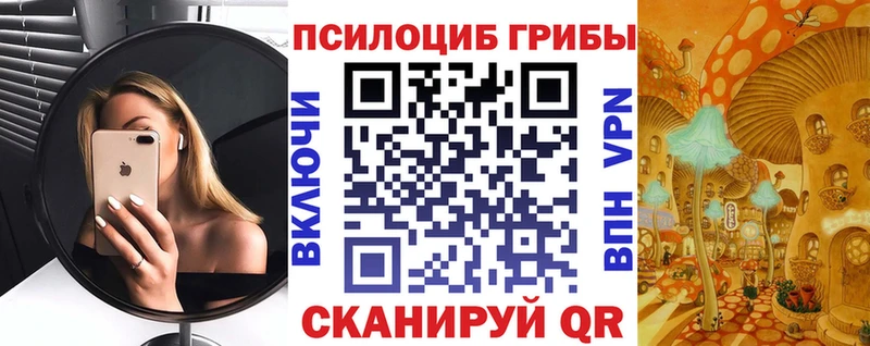 Псилоцибиновые грибы мицелий  Купить где  Барабинск 
